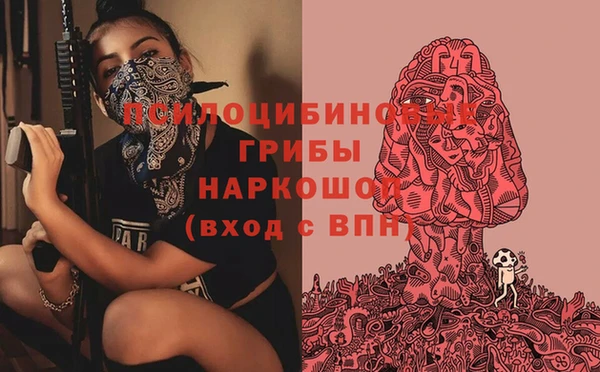 mix Козловка
