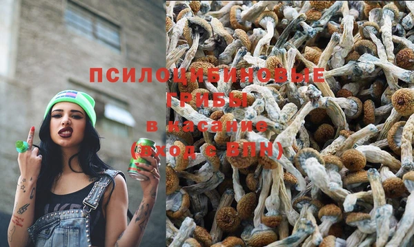 mix Кодинск